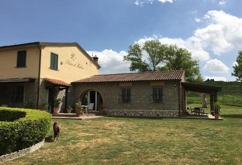 Bed and Breakfast Podere Il Mulino