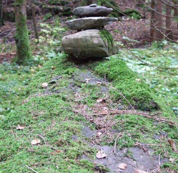 צימר Skålleruds Gård