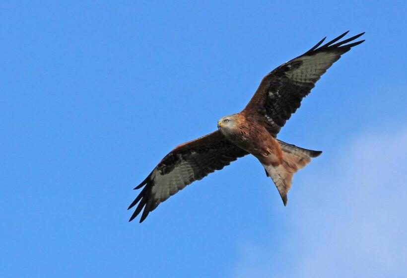 住宿加早餐  Sound Of The River