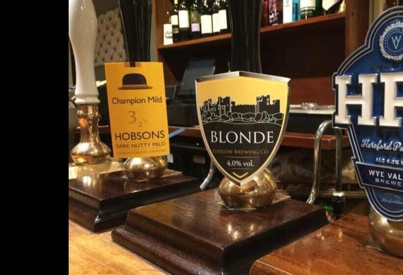 ベッドアンドブレックファースト The Boyne Arms