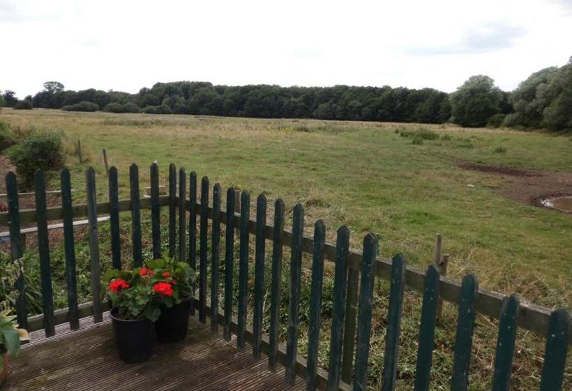 مبيت وإفطار The Elms