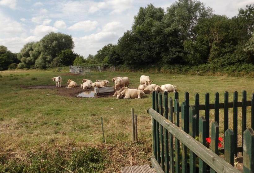 مبيت وإفطار The Elms