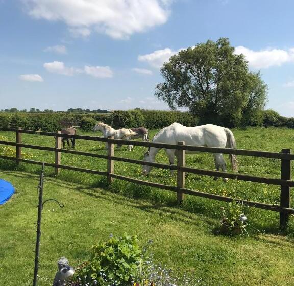 Bed and Breakfast The Paddock At Peacock Farm Near Belvoir Castle
