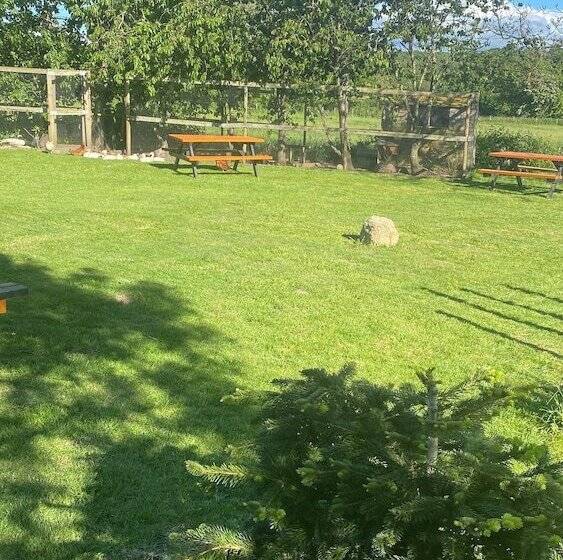 مبيت وإفطار The Penruddocke Arms