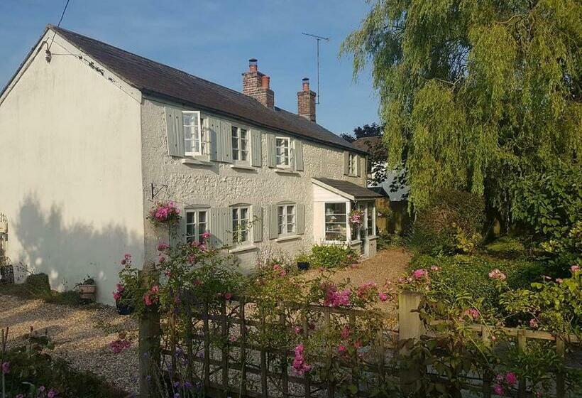 Bed and Breakfast The Willows