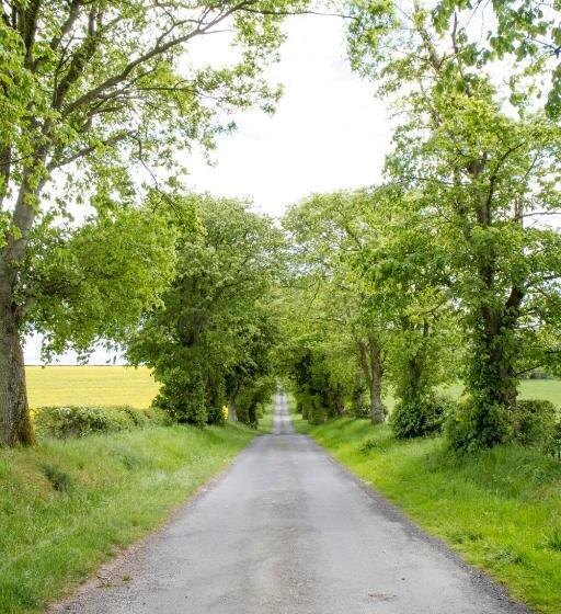 צימר Whitehouse Country House