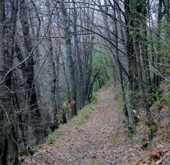 Casa Dell' Abbondanza B&b Agriturismo