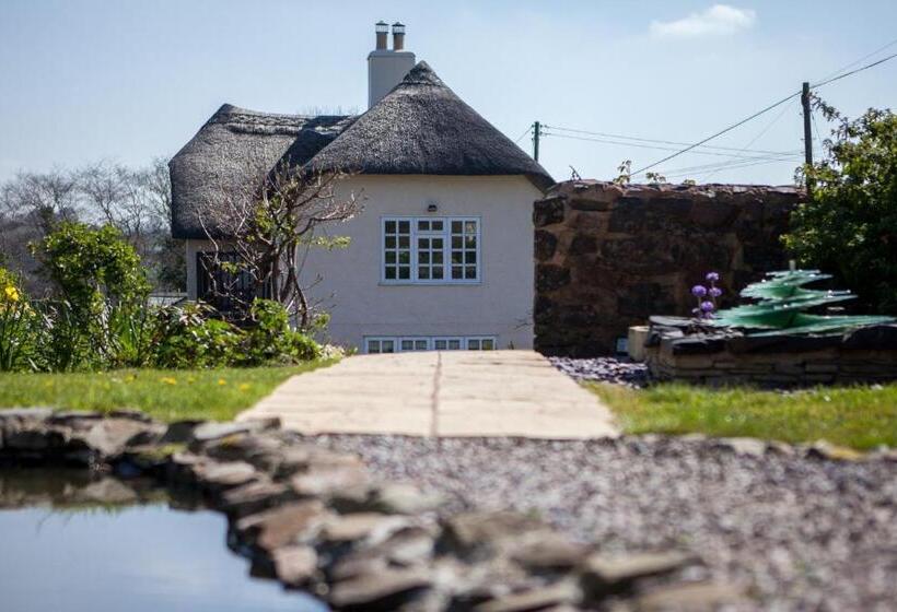 Fernside Bed And Breakfast