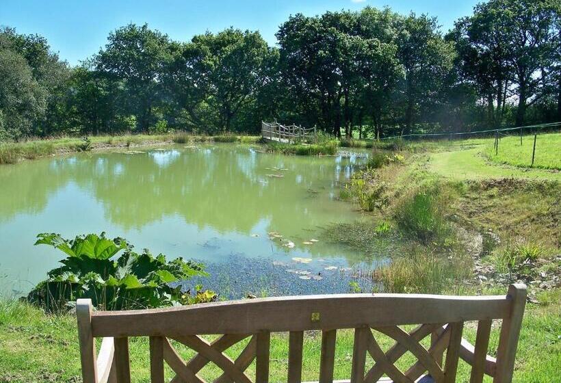 Fernside Bed And Breakfast