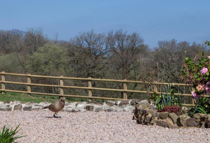 Fernside Bed And Breakfast