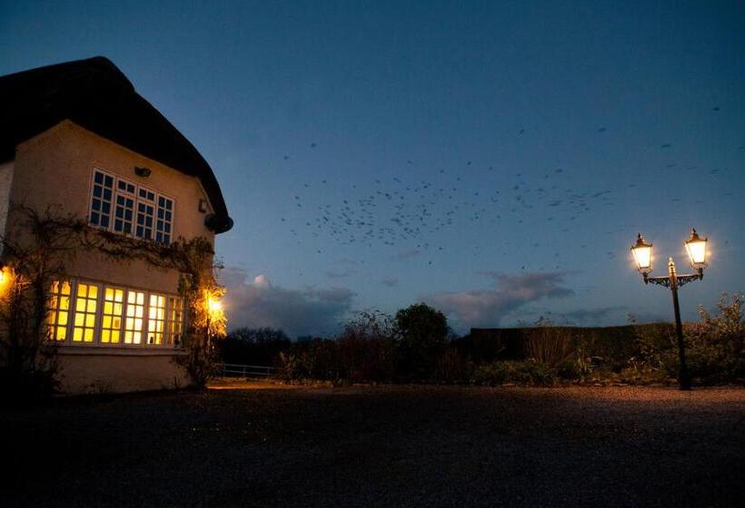 Fernside Bed And Breakfast