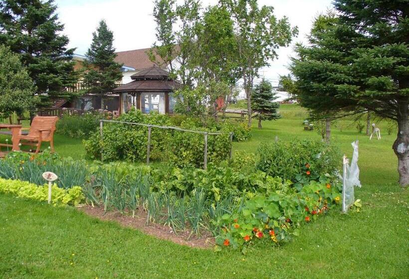 Gite Parfum De Mer Bed And Breakfast