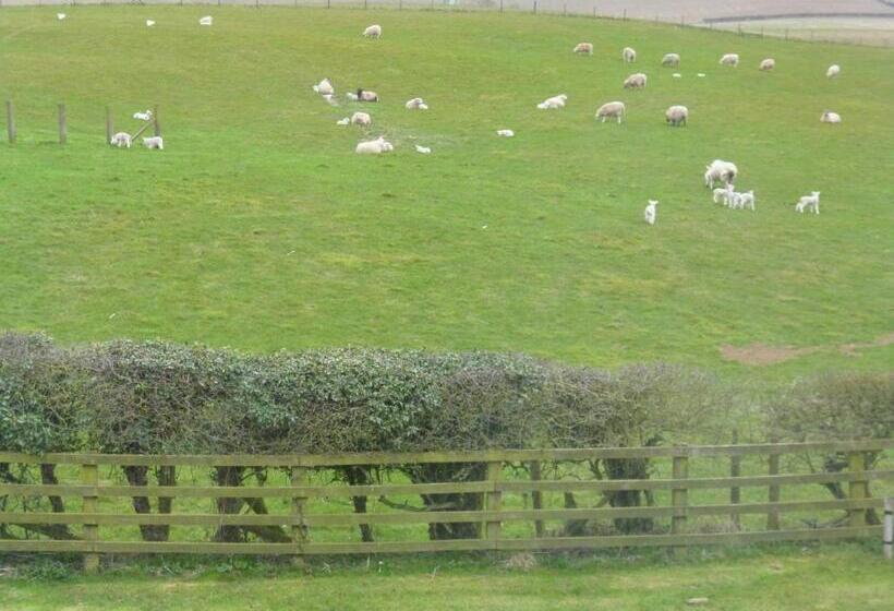 Hall Farm Bed & Breakfast