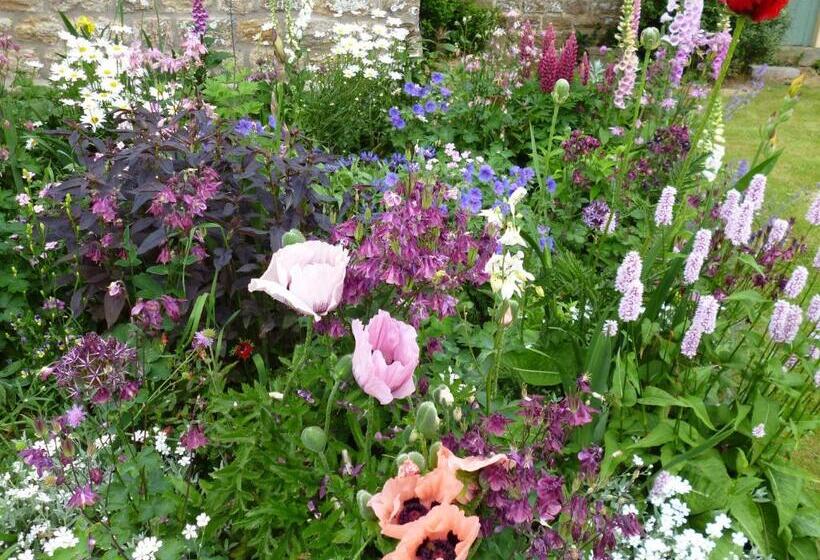 Hall Farm Bed & Breakfast