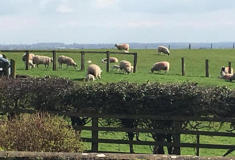 Hall Farm Bed & Breakfast