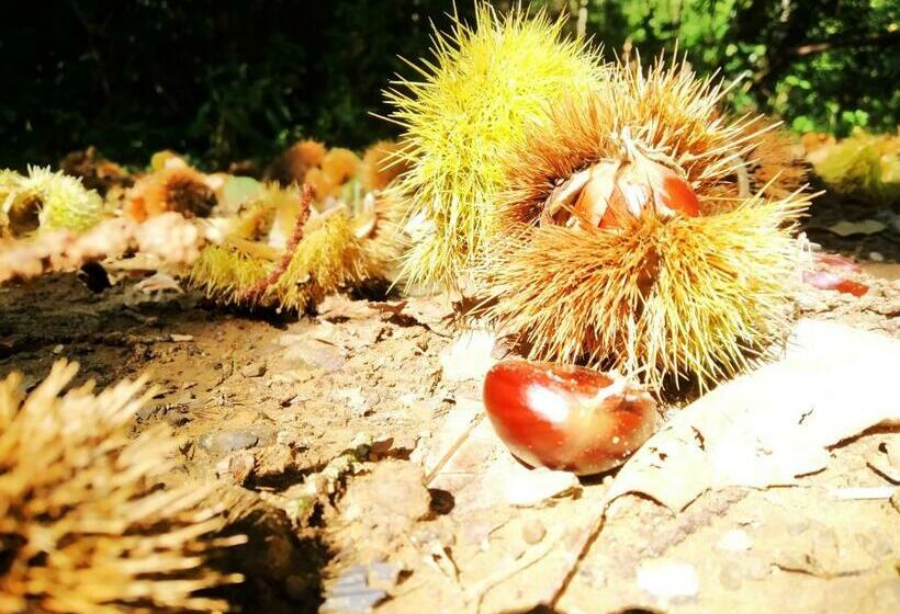 فندق A Casa Del Tosi