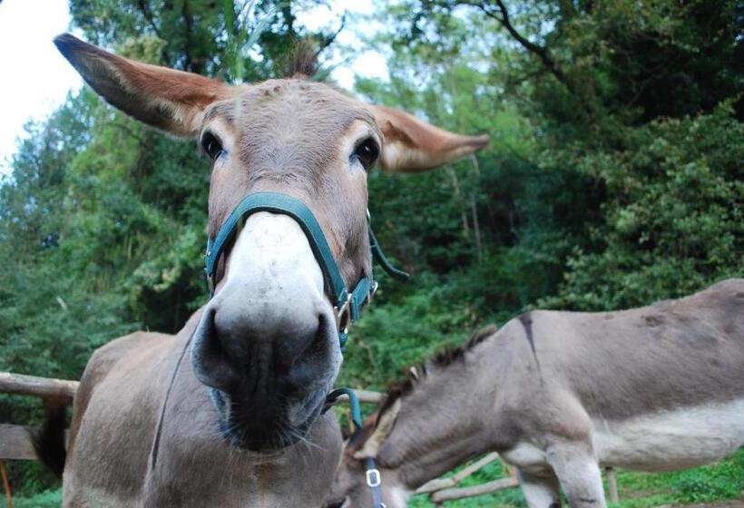 فندق A Casa Del Tosi