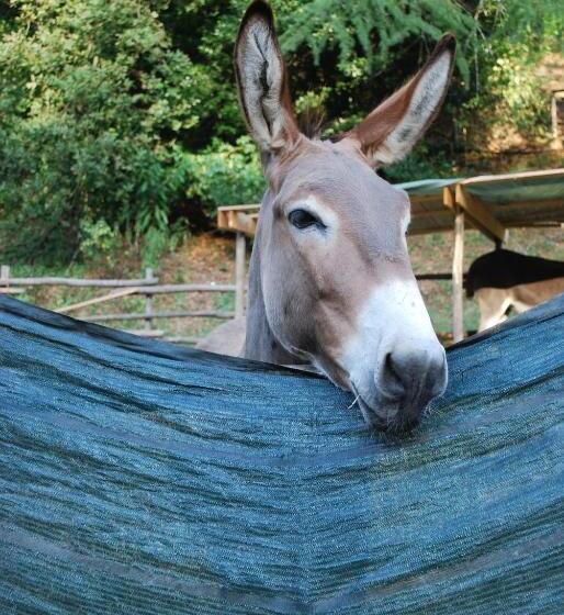 فندق A Casa Del Tosi