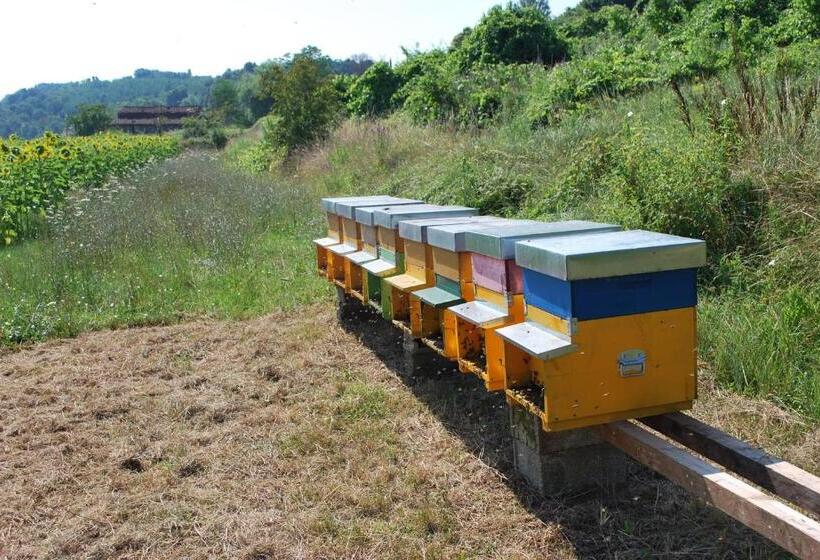 فندق A Casa Del Tosi