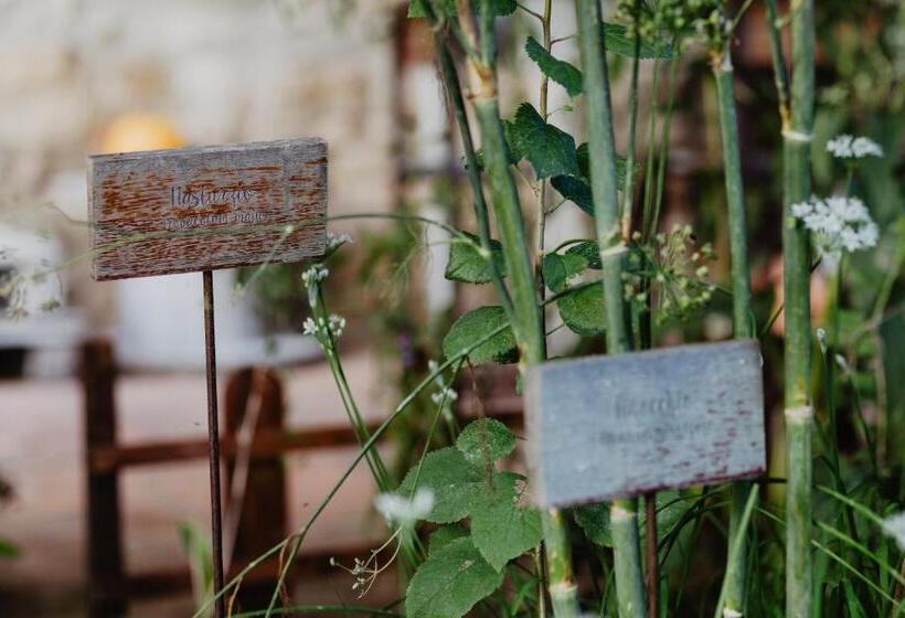 בית מלון כפרי Abbazia Sette Frati Agriturismo Fratres