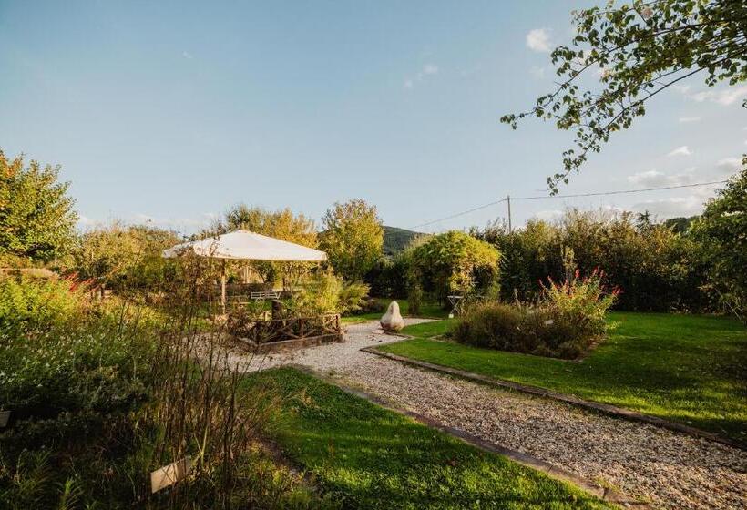 בית מלון כפרי Abbazia Sette Frati Agriturismo Fratres