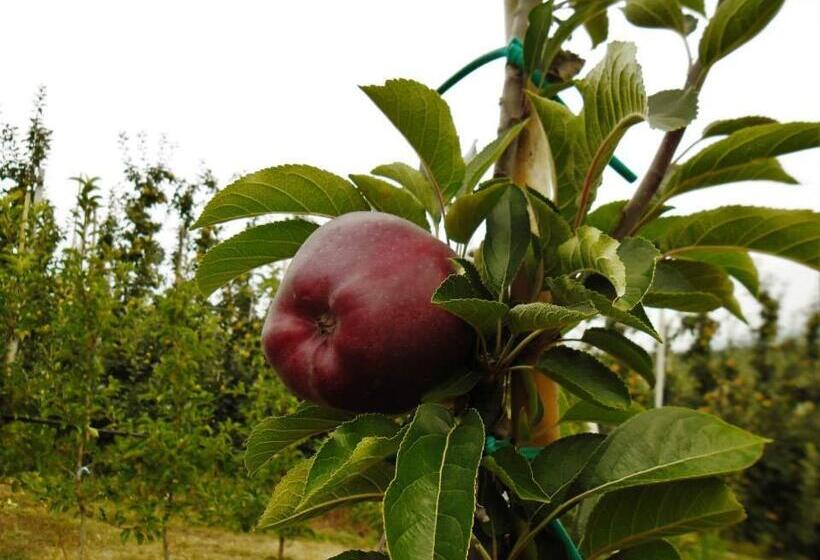 בית מלון כפרי Agritur Leita