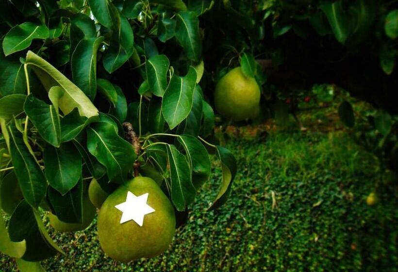 בית מלון כפרי Agritur Leita