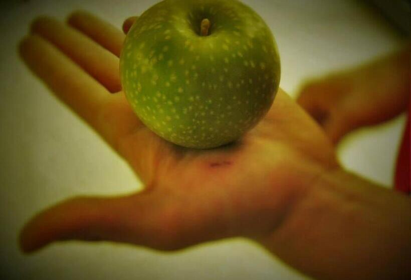 בית מלון כפרי Agritur Leita