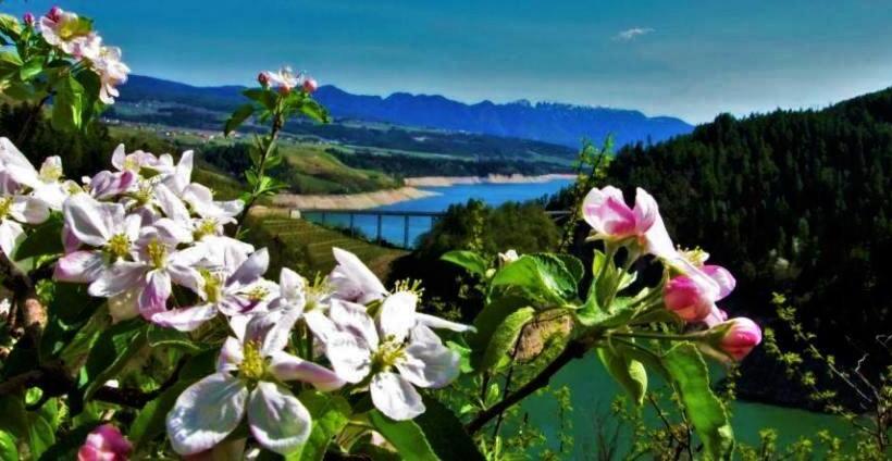 בית מלון כפרי Agritur Leita