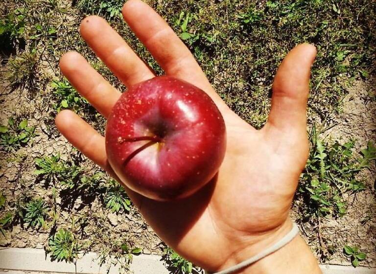 בית מלון כפרי Agritur Leita