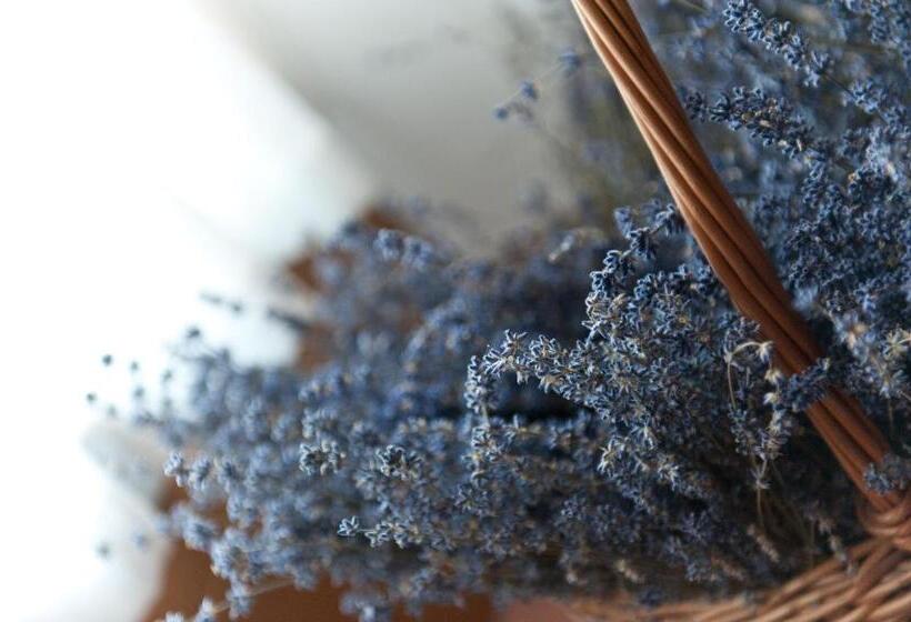 בית מלון כפרי Agritur Renetta