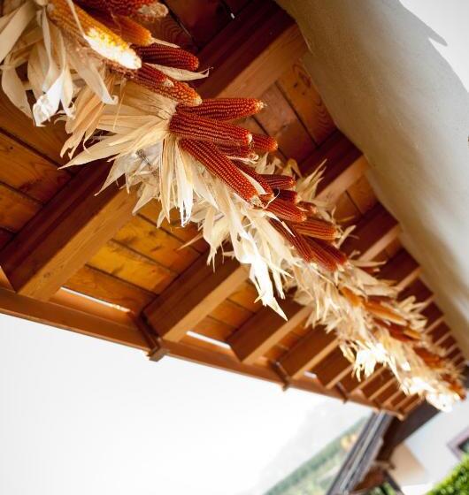 בית מלון כפרי Agritur Renetta