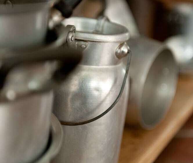 בית מלון כפרי Agritur Renetta