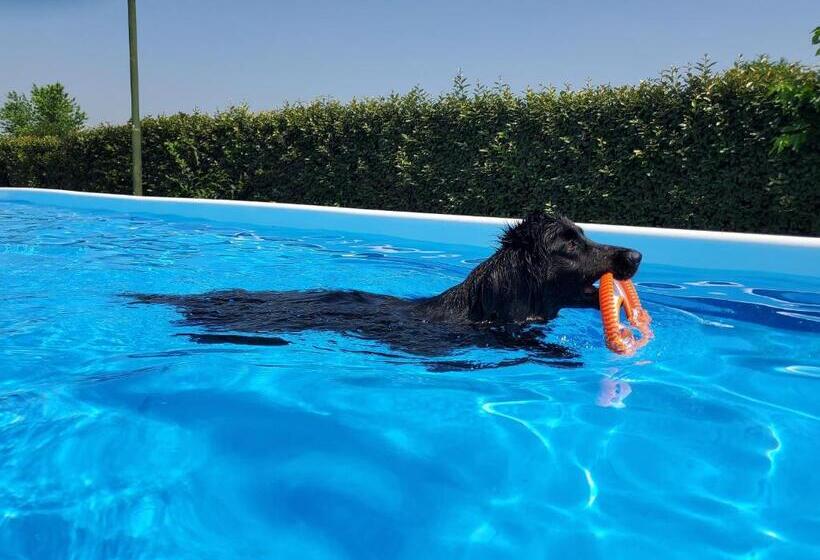 בית מלון כפרי Agriturismo Delizia D'este