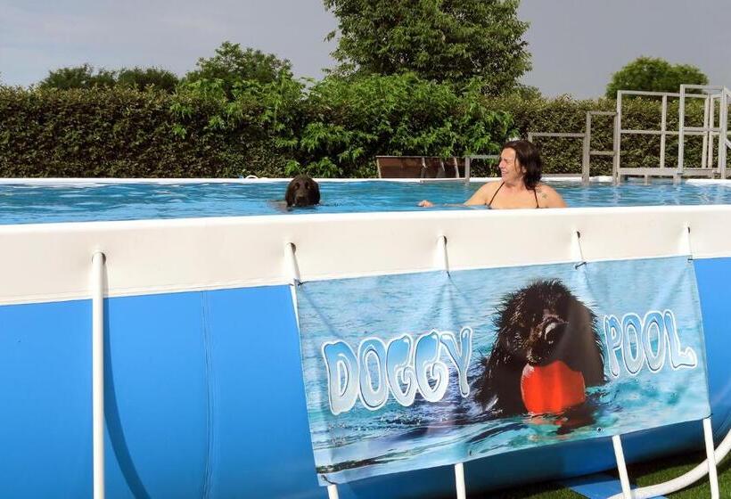 בית מלון כפרי Agriturismo Delizia D'este