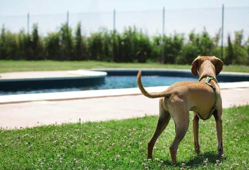 בית מלון כפרי Agriturismo Delizia D'este