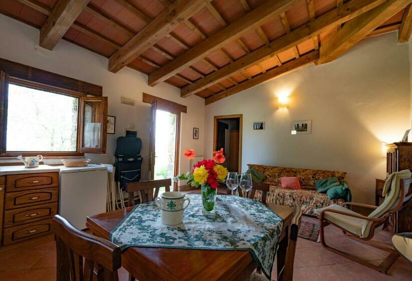 Отель Agriturismo Fattoria Di Gratena