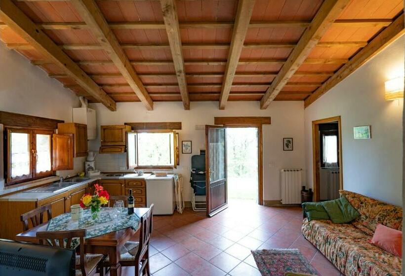 Отель Agriturismo Fattoria Di Gratena