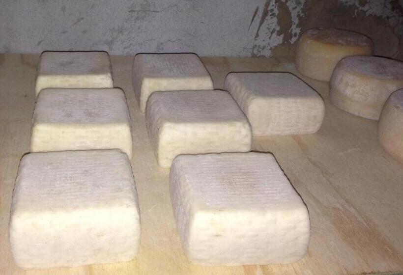 호텔 Agriturismo La Betulla