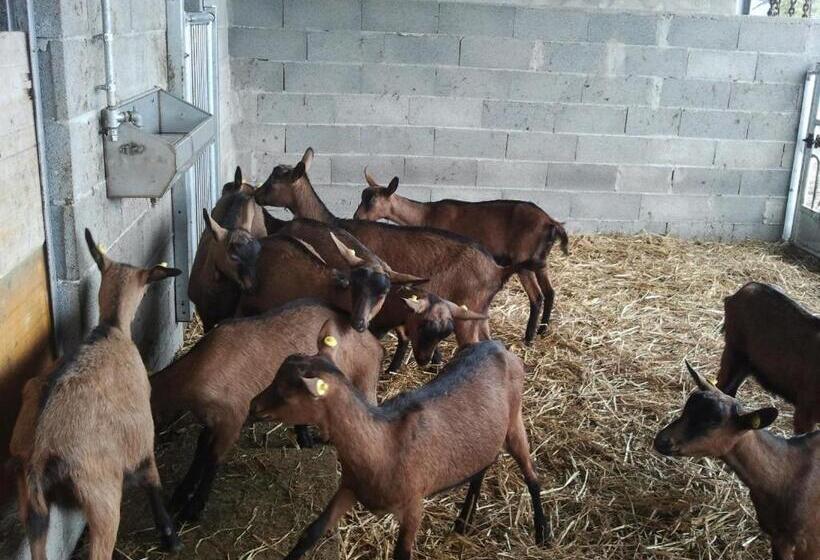 호텔 Agriturismo La Betulla