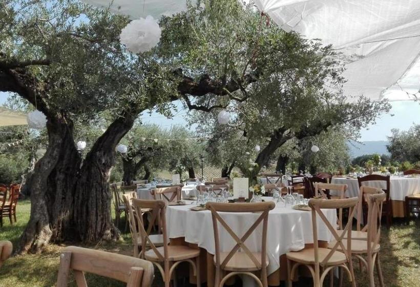 בית מלון כפרי Agriturismo La Rustica