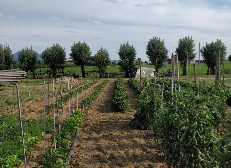 Отель Agriturismo L Albara Wines, Pool & Spa