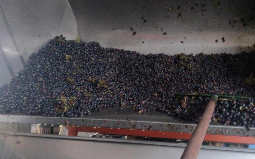 Отель Agriturismo L Albara Wines, Pool & Spa