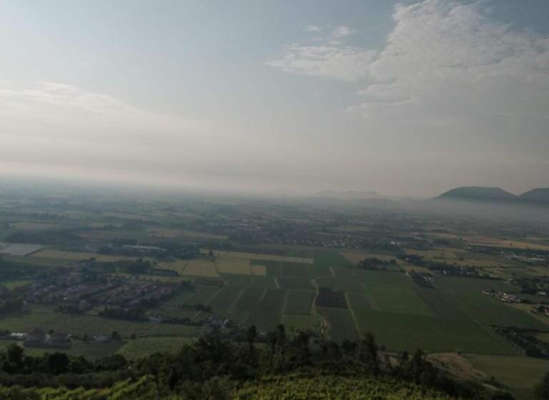 Отель Agriturismo L Albara Wines, Pool & Spa