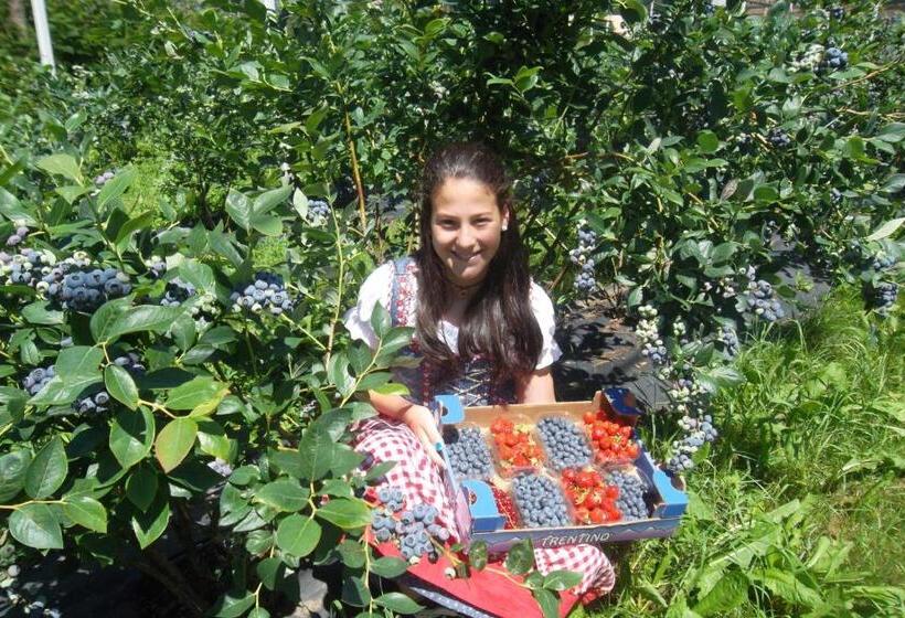 בית מלון כפרי Agriturismo Maso Grisun