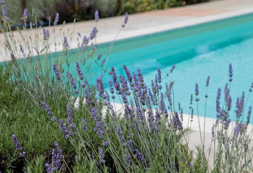 فندق Agriturismo Podere Acqualoreto