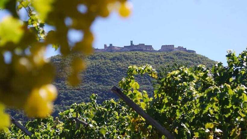 בית מלון כפרי Agriturismo Salizzoni