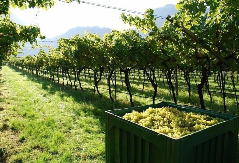 בית מלון כפרי Agriturismo Salizzoni