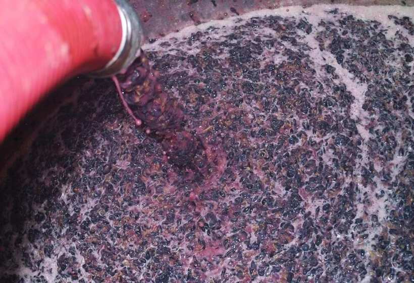 فندق Agriturismo Salizzoni