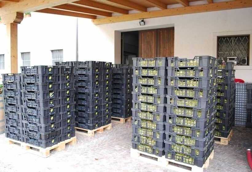 בית מלון כפרי Agriturismo Salizzoni